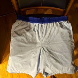 Sz Large sky blue Fabletics lined shorts
